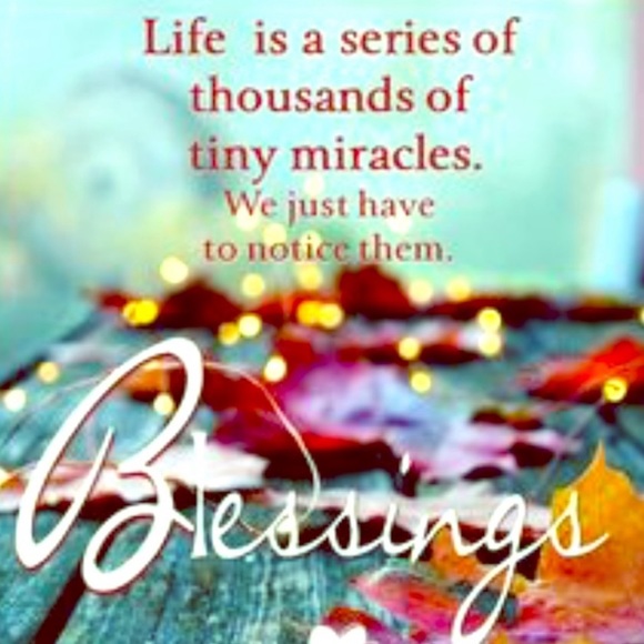 Meet your Posher, Angeldarling - Picture 11 of 16